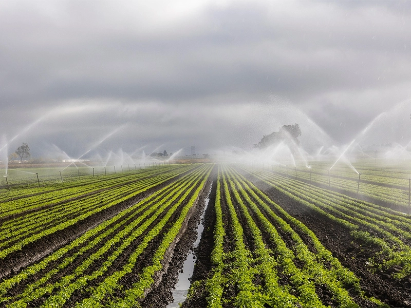 Agricultural & Irrigation Water Storage