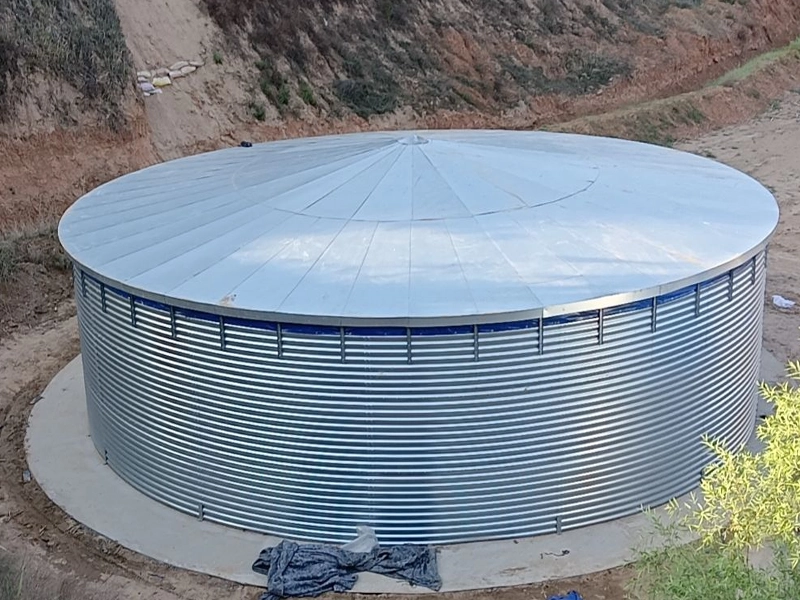 Steel Roof