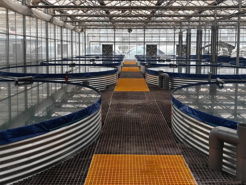 Aquaculture Project