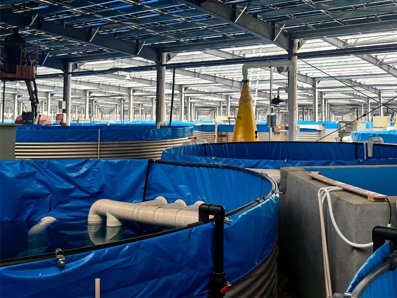Aquaculture Tank