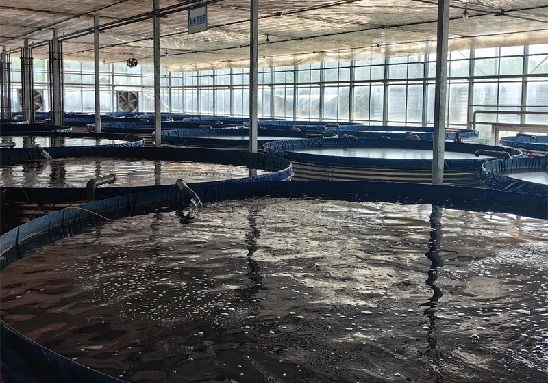 Corrugated Steel Water Tanks for Aquaculture
